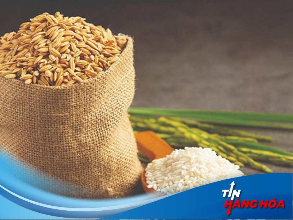 S&aacute;ng đầu tuần 28/10: Gi&aacute; l&uacute;a gạo vẫn &ldquo;b&igrave;nh ch&acirc;n như vại&rdquo; 